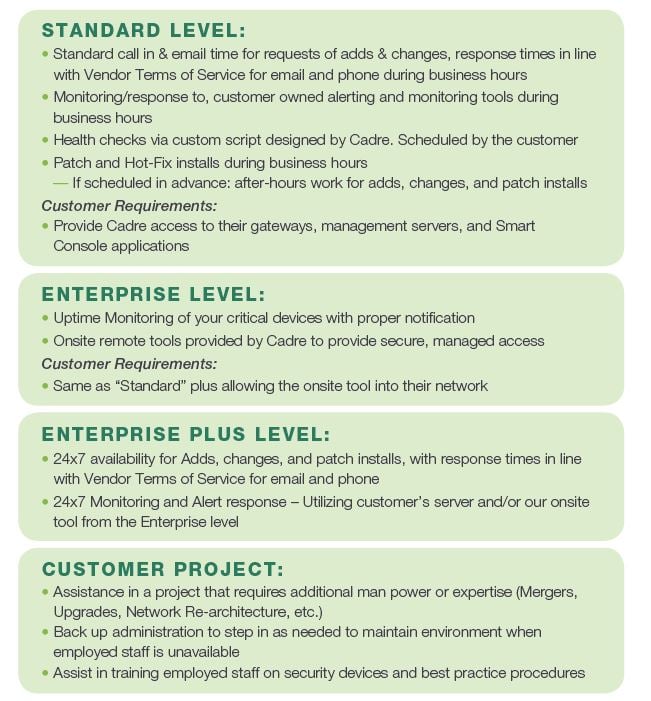 Managed Services Levels-1.jpg
